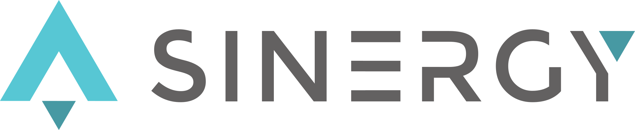 Sinergy